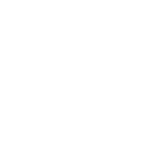 flip lkld icon white